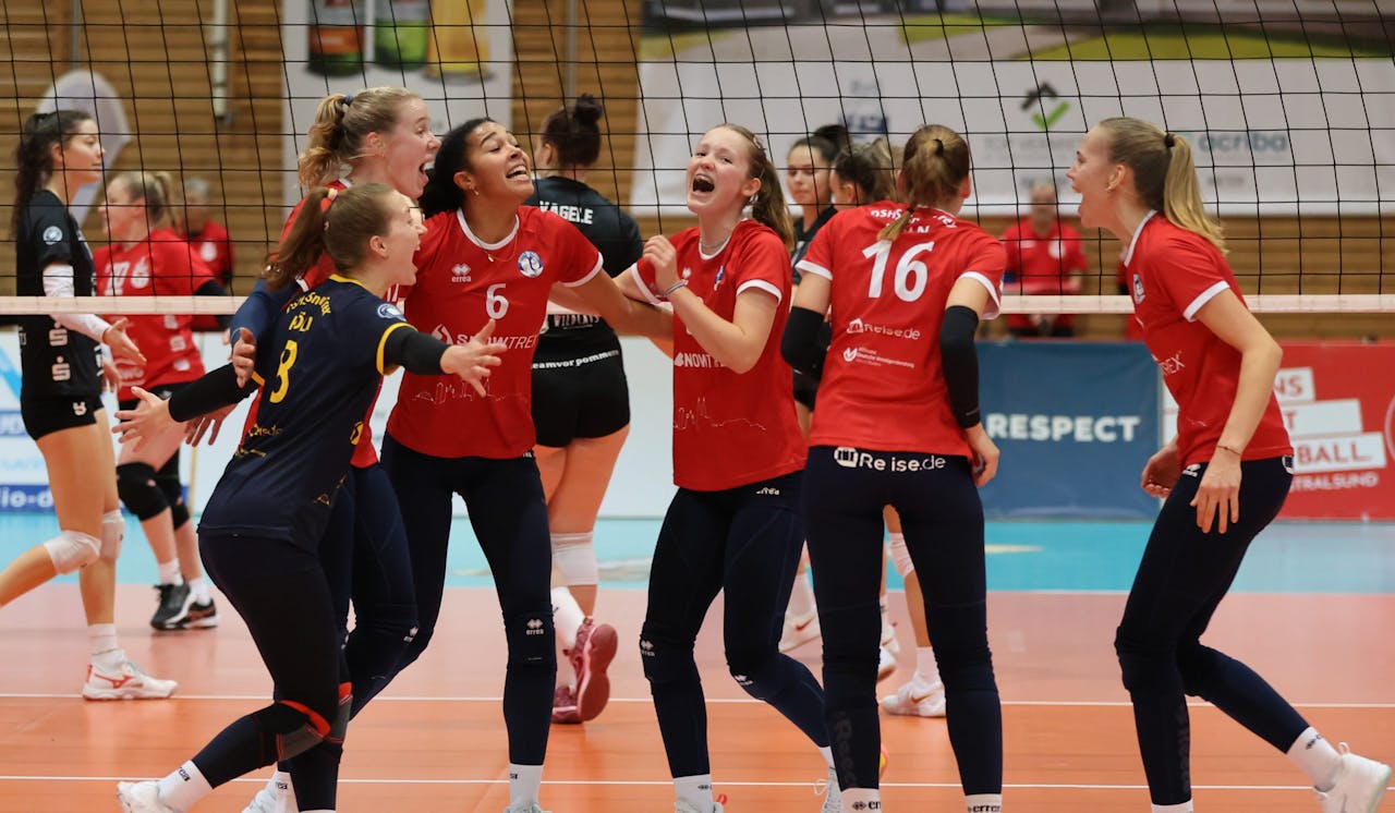 Nach der Pause: Köln bereit für die Wildcats aus Stralsund