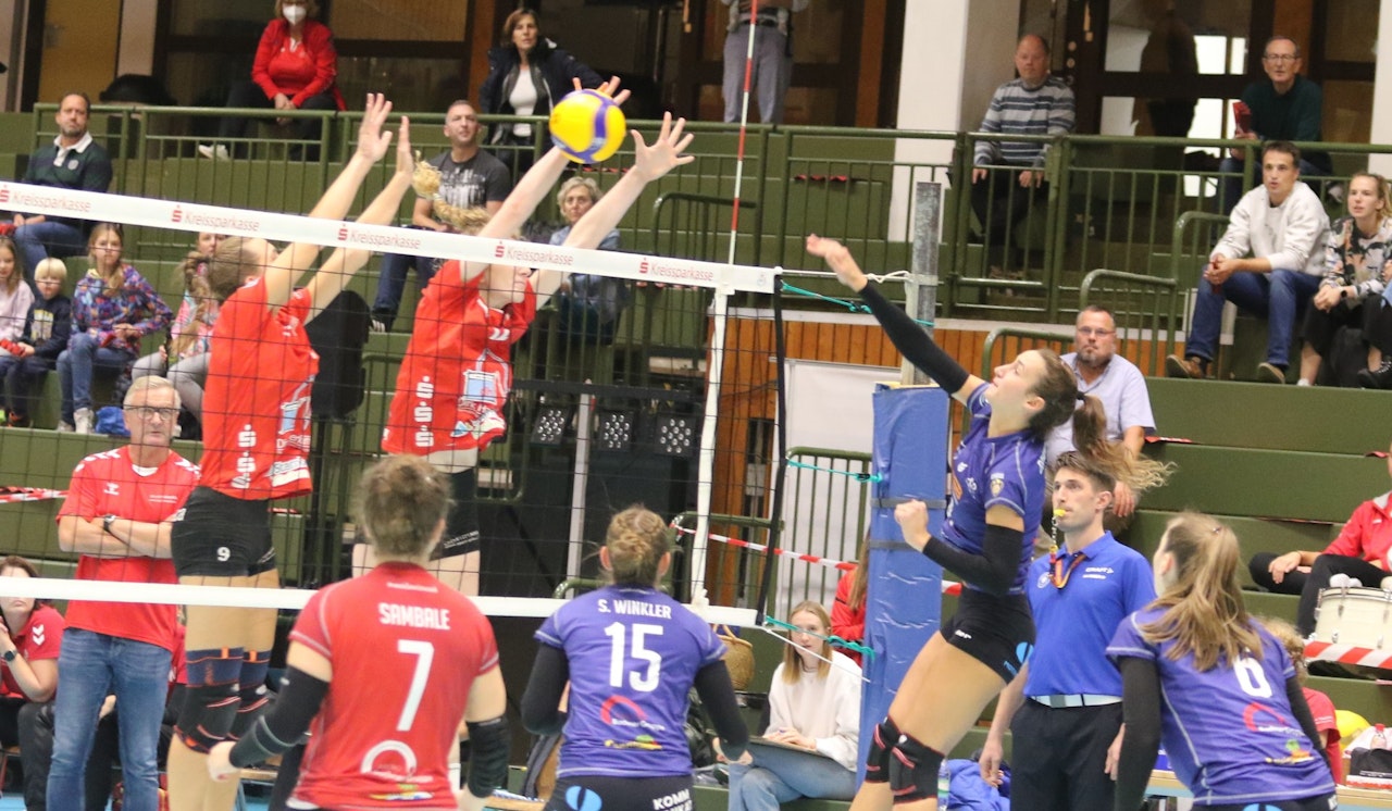 Bayernderby – Dingos gegen Wolf?s Rudel