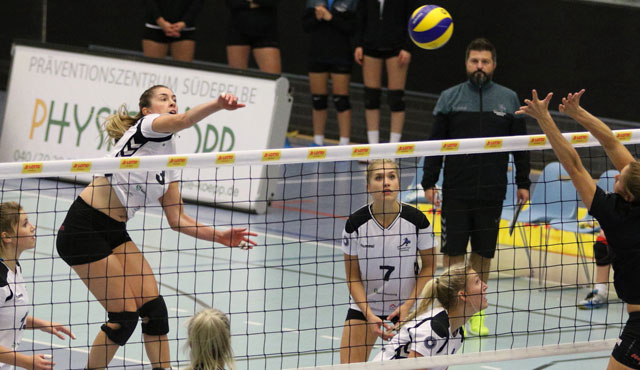 Volleyball-Team Hamburg empfängt die Skurios Volleys Borken