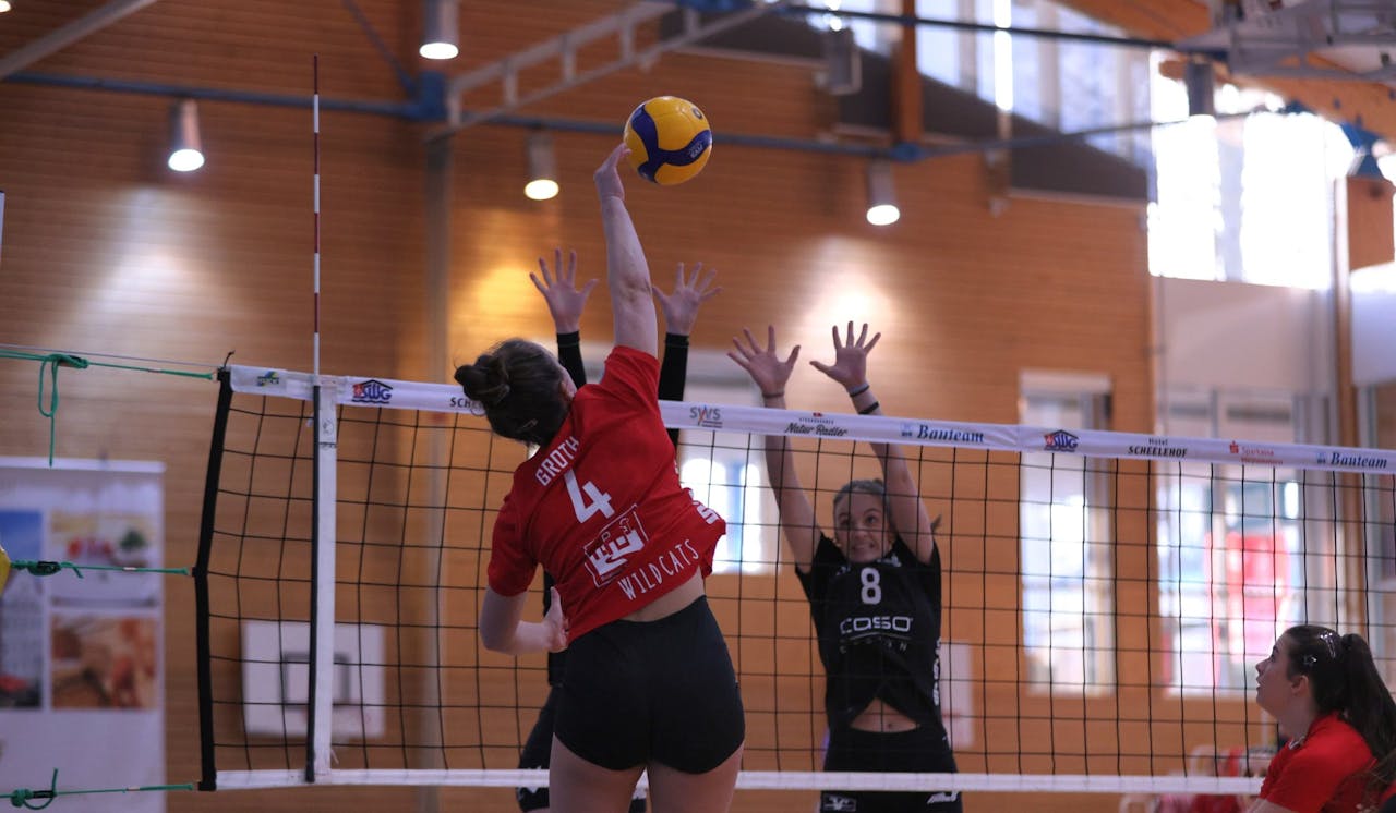 Viel Volleyball in Stralsund