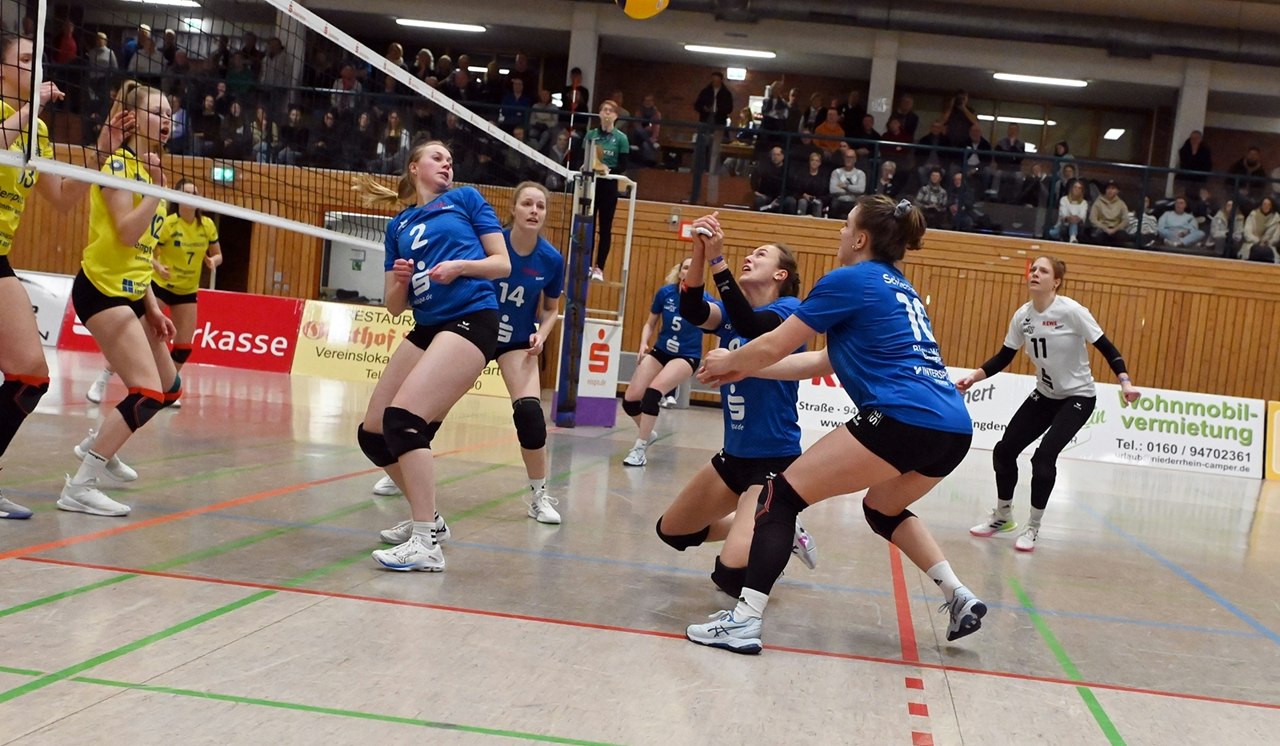 Neuling zu Gast im Volleyballdorf