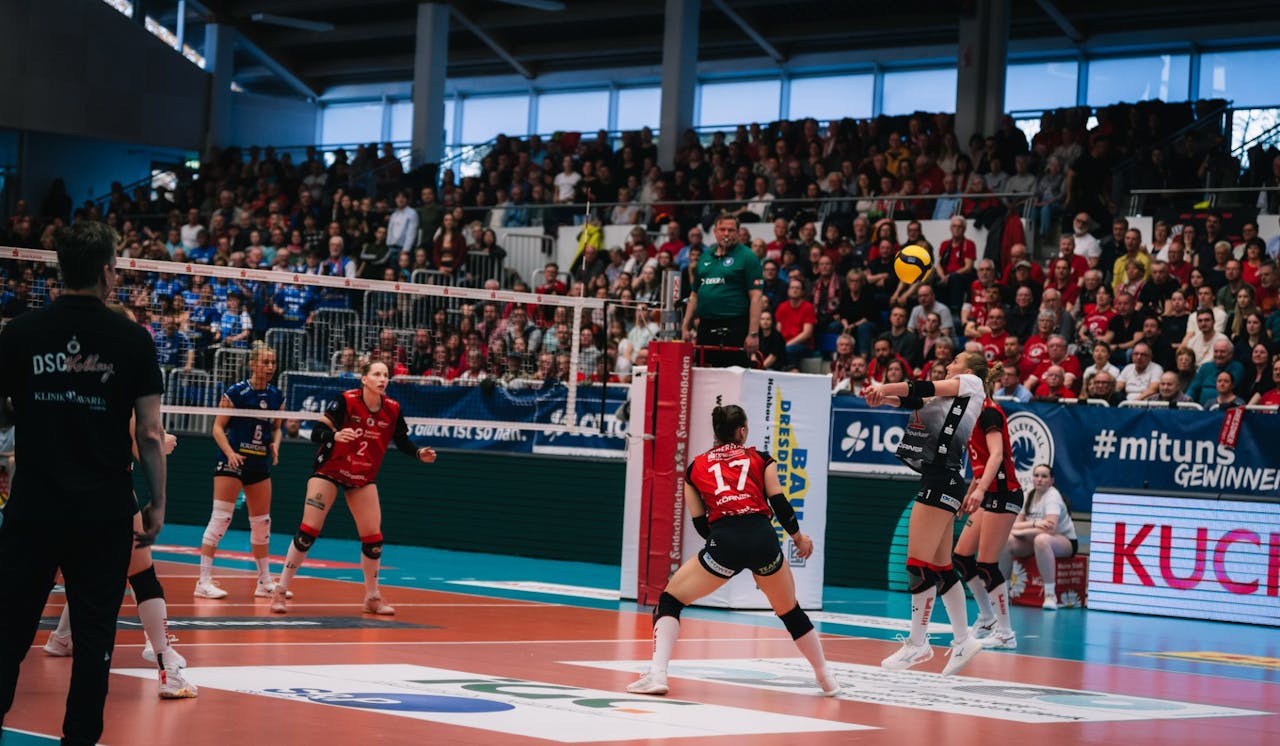 DSCVOLLEYS nach bravourösem Kampf im Final