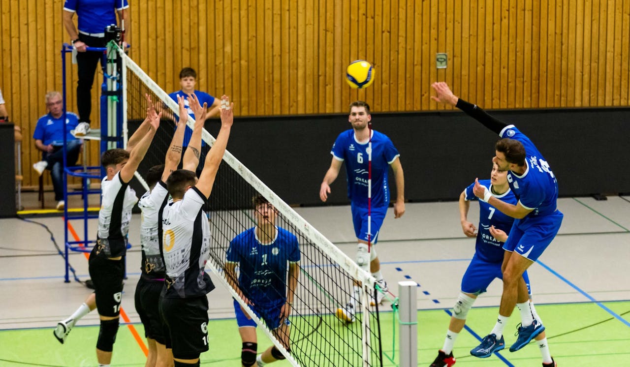 Blue Volleys mit Vereinsrekord