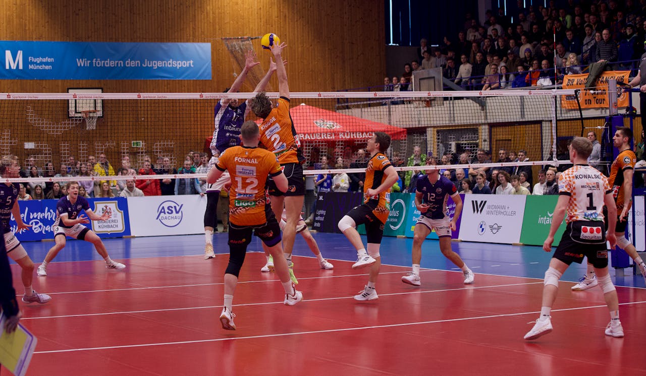 Die Sensation bleibt aus