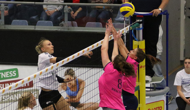 Volleyball-Team Hamburg zu Gast beim VCO Schwerin