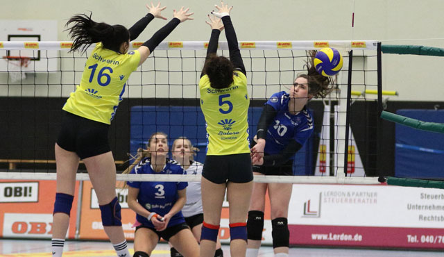 Volleyball-Team Hamburg erfüllt die Pflichtaufgabe