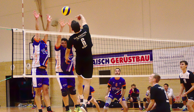 TSG Volleyballer zurück in der Erfolgsspur