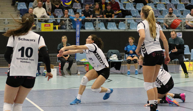 Volleyball-Team Hamburg meldet sich eindrucksvoll zurück