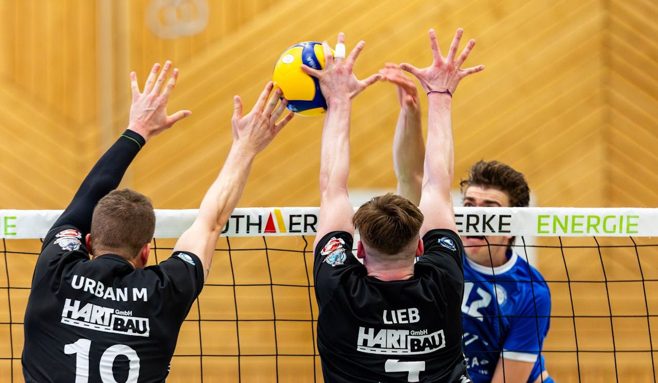 Blue Volleys Gotha testen gegen Eltmann
