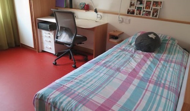 Leuchtturmprojekt bringt kräftigen Schub