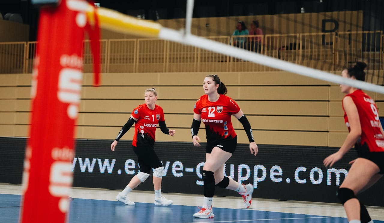 Black Forest Volleys unterliegen Wiesbaden