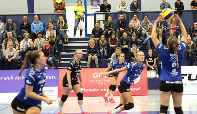VC Allbau Essen zurück in der 2. Volleyball Bundesliga