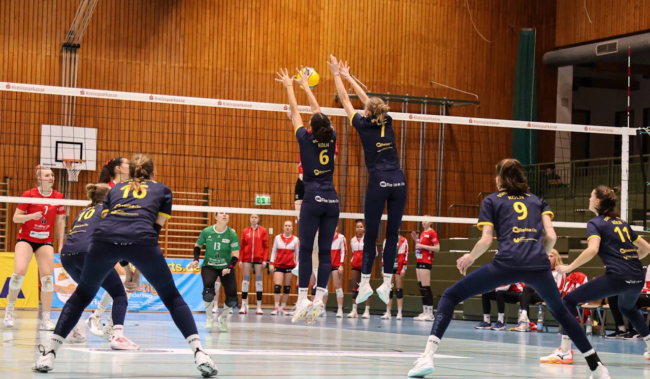 DSHS SnowTrex Köln vs. TV Planegg-Krailling: Heimspiel mit Revanchechance