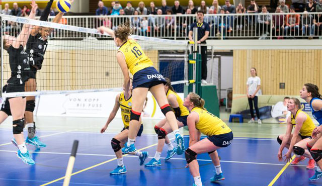 DSHS SnowTrex Köln gewinnt mit Fan-Unterstützung 3:0 in Berlin