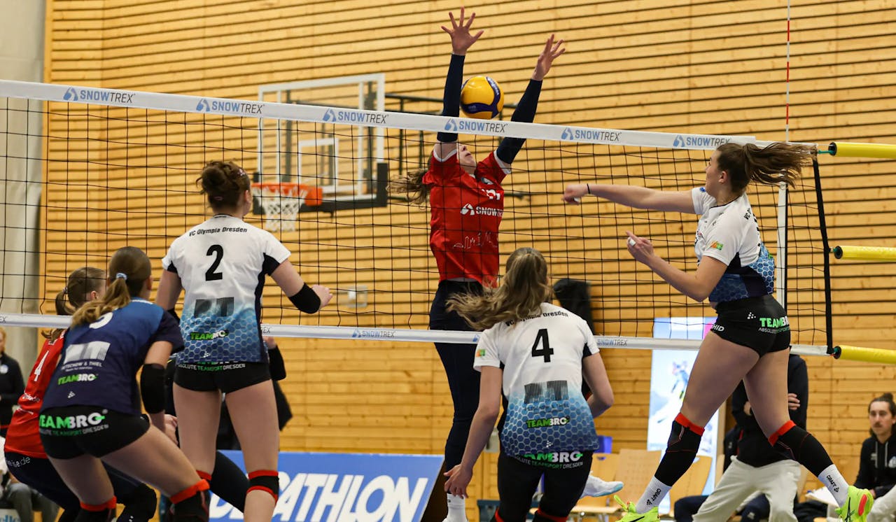 Spannung garantiert: DSHS SnowTrex Köln vor schwerer Aufgabe in Dresden