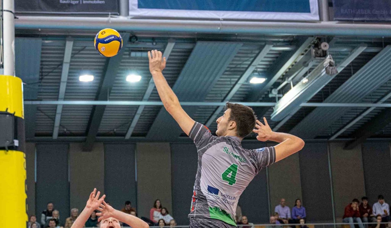 Nächstes Abenteuer gegen die Grizzlys