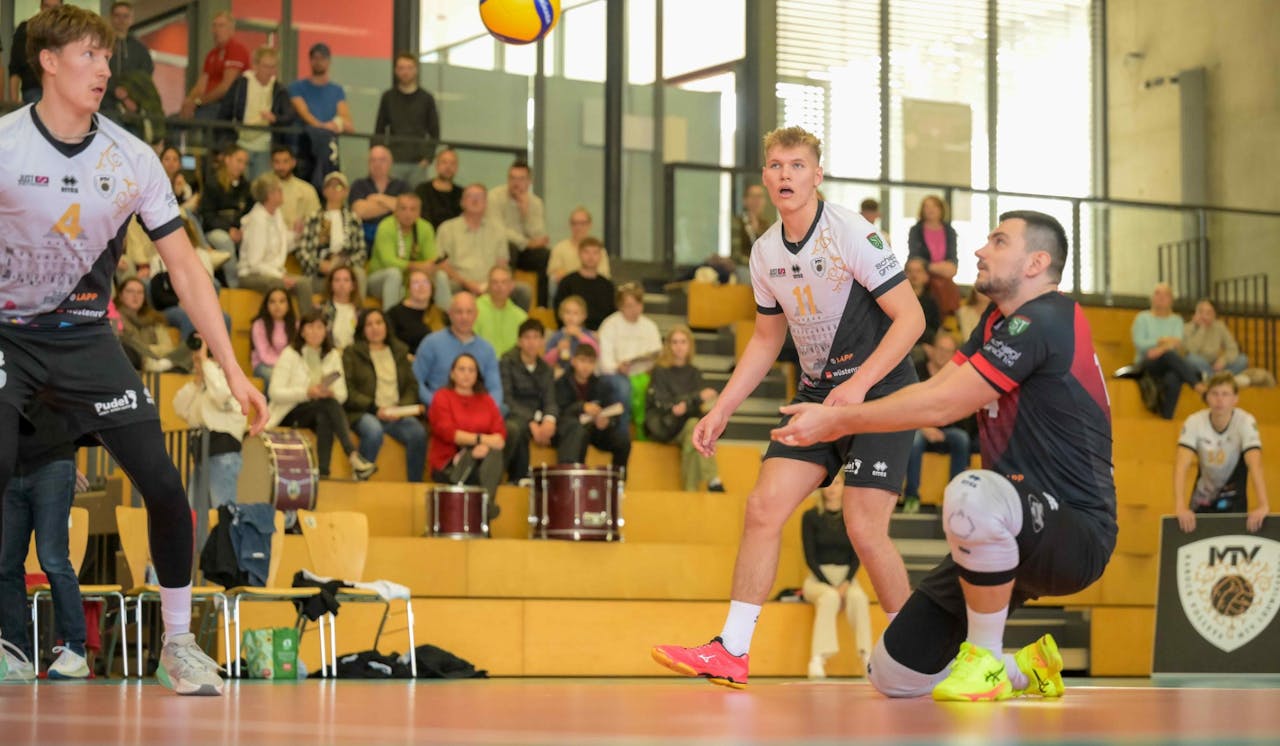 Barock Volleys empfangen Grafing