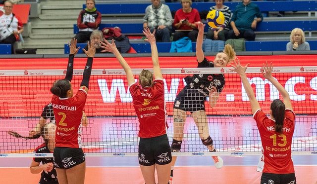 SPORT1 zeigt die komplette Serie zwischen dem Dresdner SC und dem SC Potsdam ab Samstag live im Free-TV