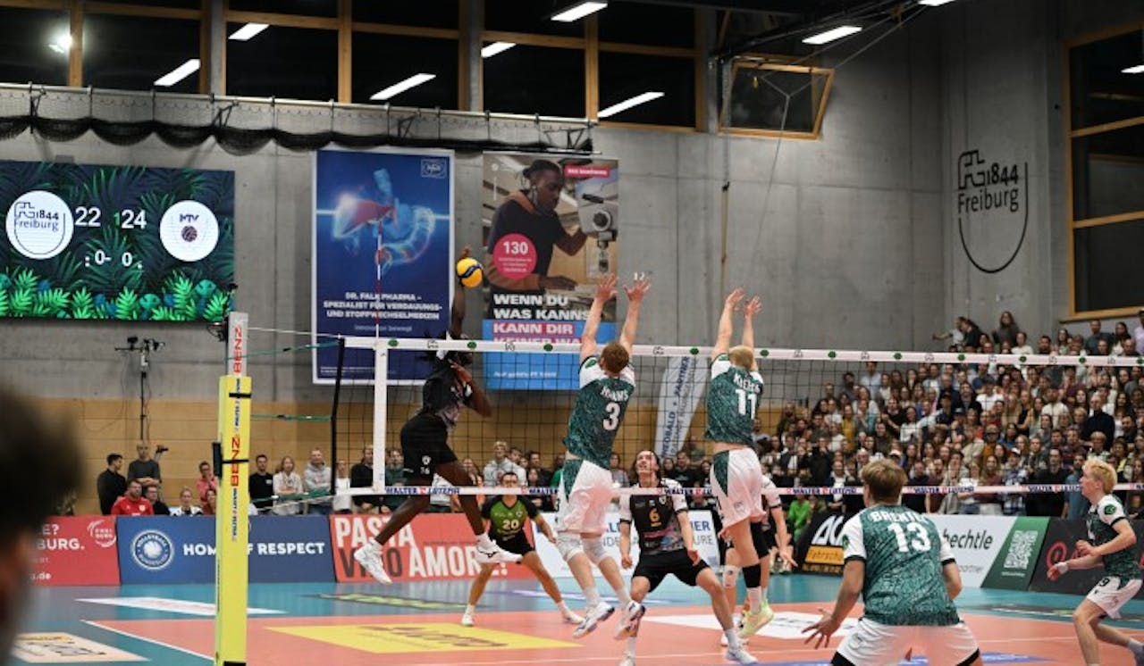 Heimspiel-Doppelpack für die Affenbande