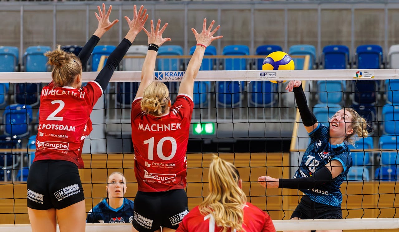 Nächstes Heimspiel für den SC Potsdam