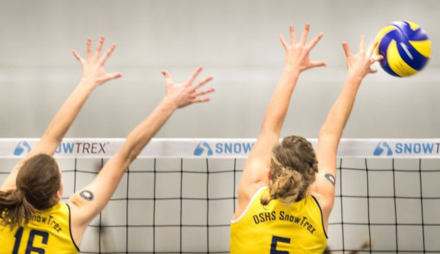 DSHS SnowTrex Köln gewinnt erstmals 3:0 gegen Stralsund