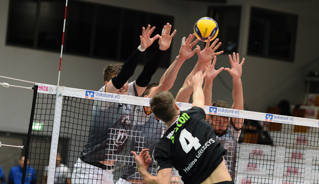 Grizzlys gebändigt