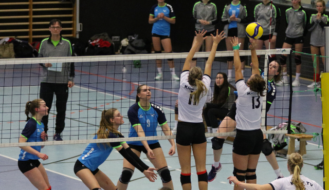Volleyball-Team Hamburg reist an die Kieler Förde