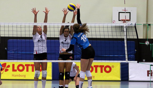 Volleyball-Team Hamburg verliert letztes Testspiel