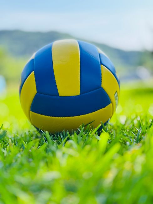 Zoi DVV-Pokal der Frauen: Viertelfinals und Halbfinal-Auslosung stehen vor der Tür