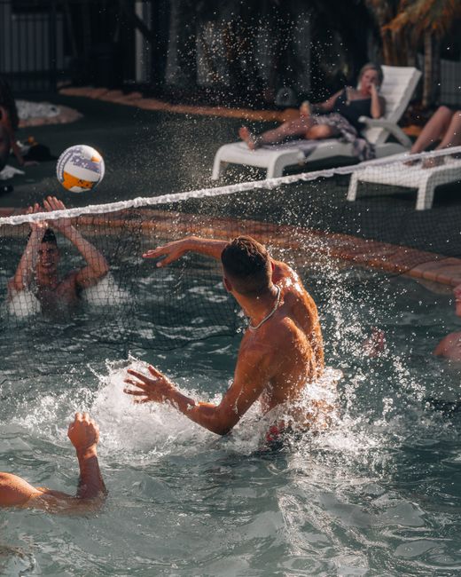 Freiburg fordert den Pokalsieger im Dschungel